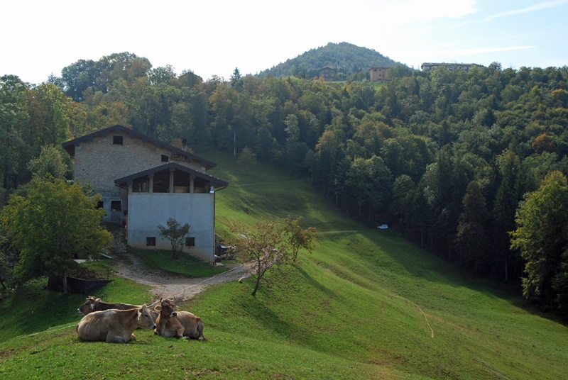 Agriturismo La Fontana – Zogno